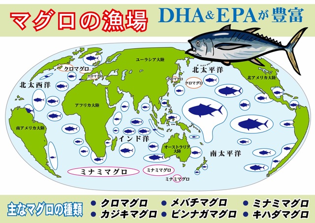 マグロ漁場map サプリメント 健康食品のoem受託製造 Btobサイト 緑応科学研究所